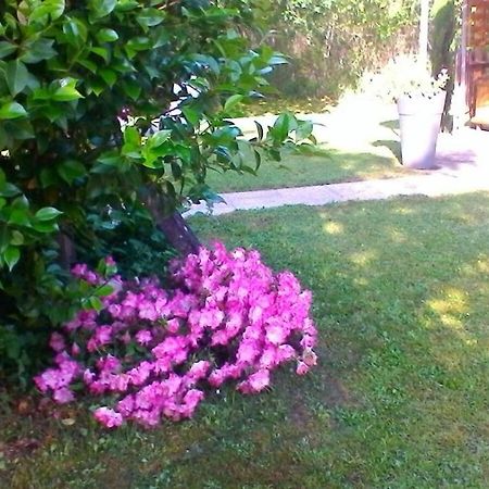 Le Clos Des Palombes Wifi Climatisation Saint-Pierre-du-Mont  Exterior photo
