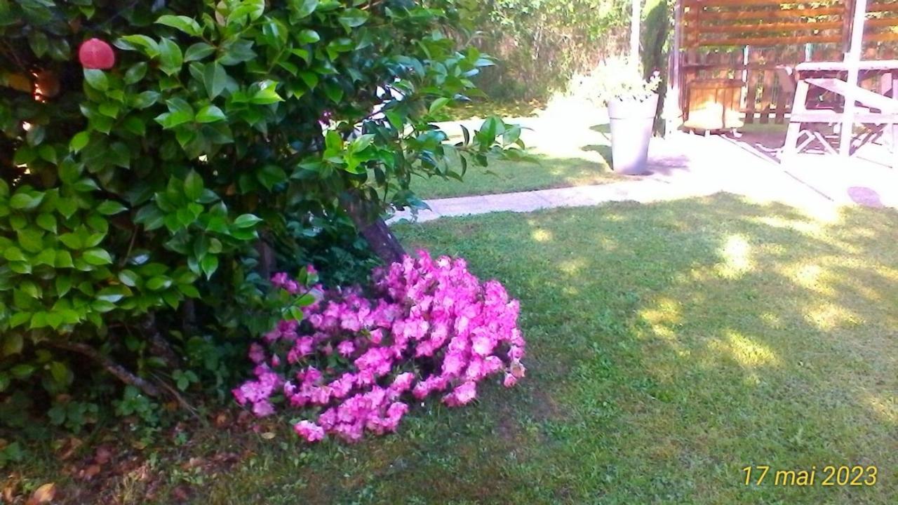 Le Clos Des Palombes Wifi Climatisation Saint-Pierre-du-Mont  Exterior photo